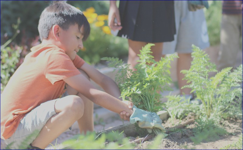 Sprouts Zeroes In on Wellness and Nutrition