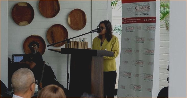 Highlighting Caribbean Entrepreneurs: Celebrating Local Success on a Global Stage