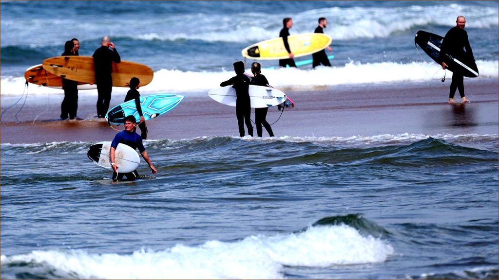 Tragedy Strikes as Huge Shark Attacks Man at Sydney Beach