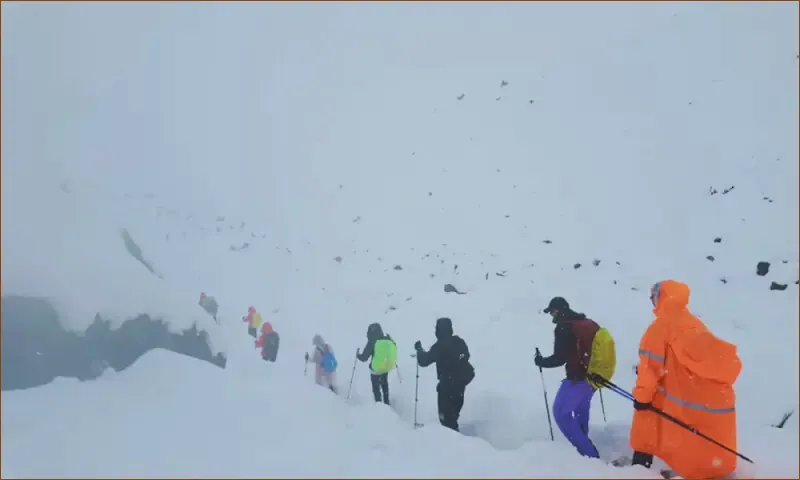 Trekkers Braving Everest’s Blizzard Make Their Escape