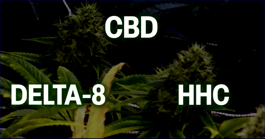Hemp Industry at Risk: Stricter Regulations Could Impact Health Products Worth Billions | News