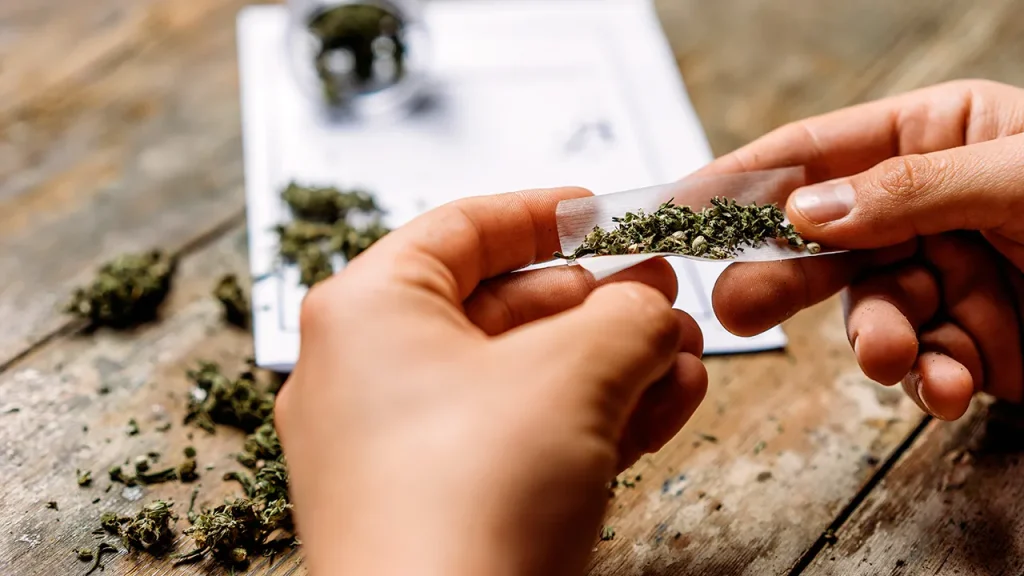 Cannabis Compounds Slash Liver Fat, New Research Reveals