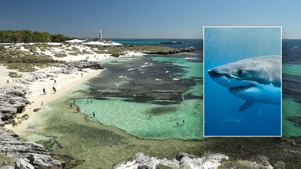 Tragic Shark Attack Claims Life of 38-Year-Old at Beloved Holiday Spot