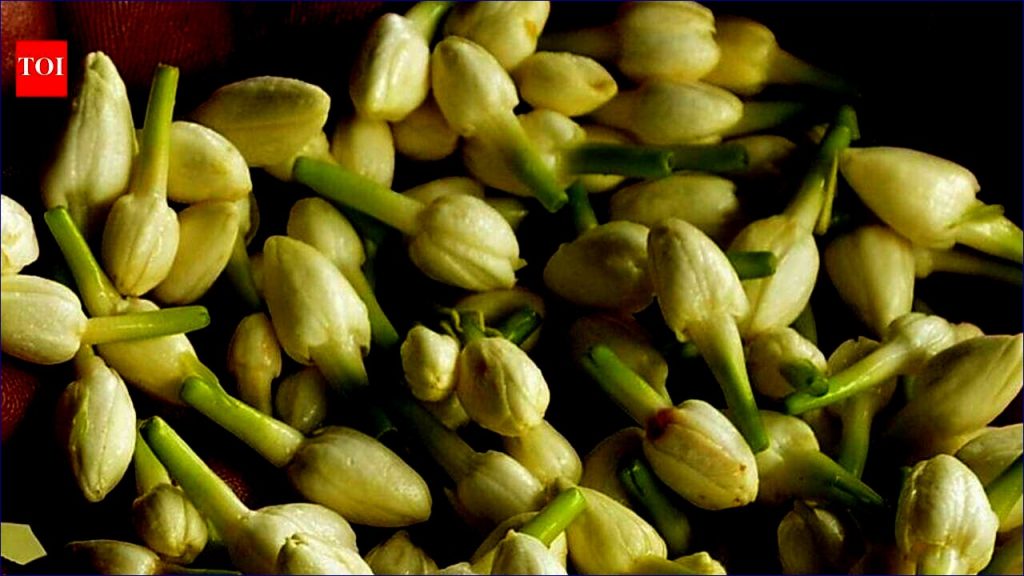 Rising Diaspora Craves Jasmine, Boosting Air Cargo in Madurai