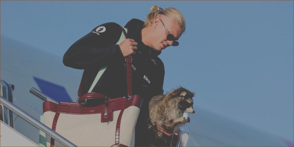 Erling Haaland Brings Home a $750 Stuffed Raccoon as a World Cup Keepsake