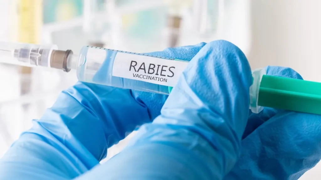 Tragic Rabies Case: Ontario Boy Loses Battle After Bat Encounter, Says CMAJ