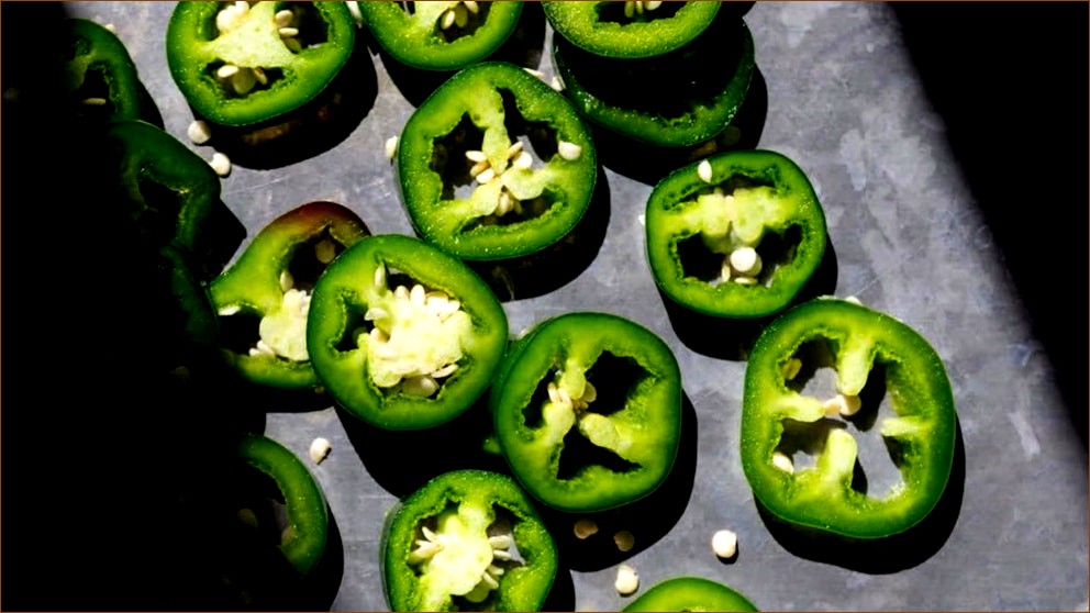 Meat and Poultry Sales Raise Salmonella Concerns: Video Health Alert Issued