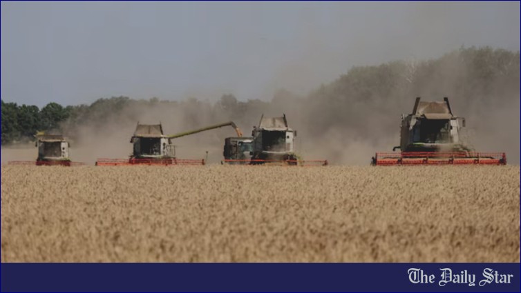 Global Food Prices Set to Rise Again, FAO Alerts