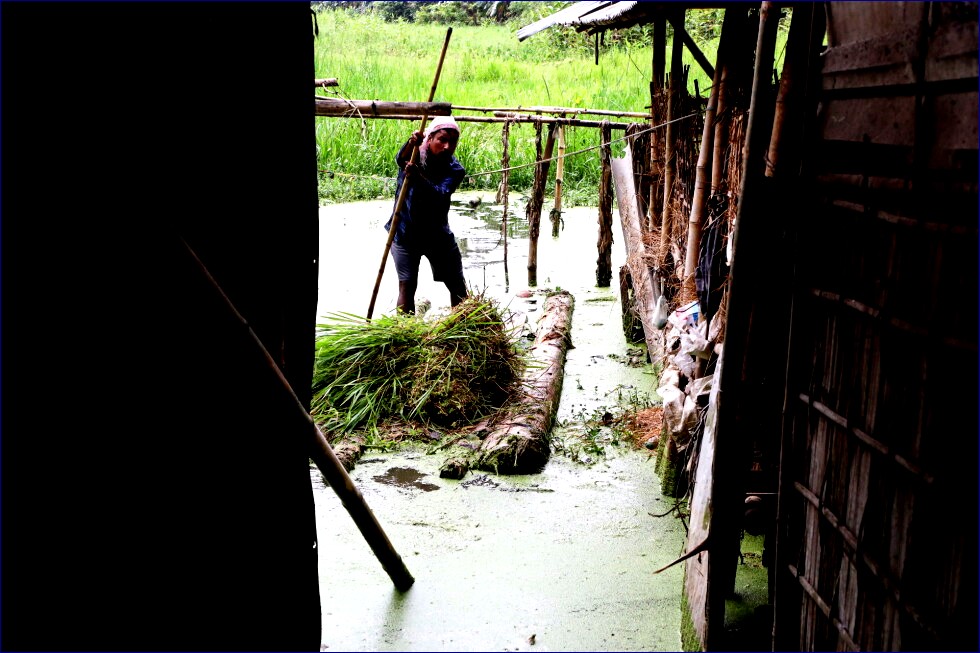 Death Toll in Assam Floods Surges to 100, Leaving Thousands Homeless