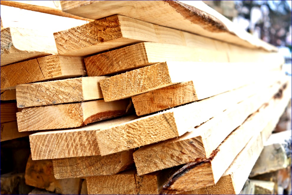 U.S. Lumber Exports to India Plunge 21% in June