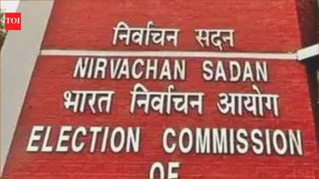 Interim EC Decision on ‘Real TMC’ Anticipated by September 17