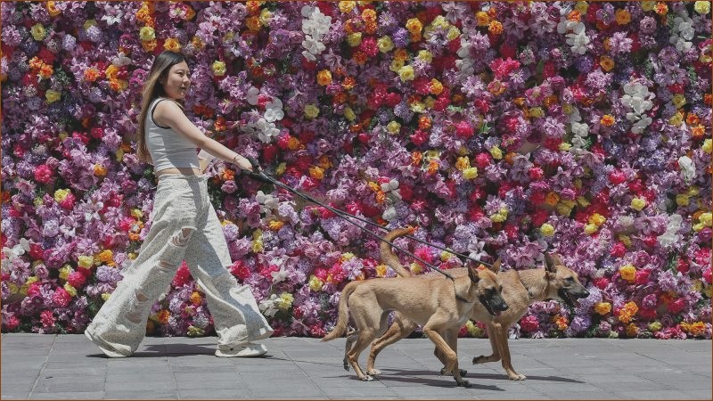 Solo Serenades: Exploring China’s $1 Trillion ‘Loneliness Economy’ as a Window into Tomorrow’s Trends