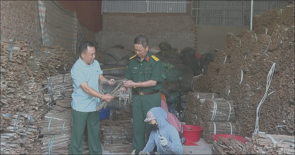 Lao Cai’s Veteran Entrepreneurs Thrive in the Business Landscape